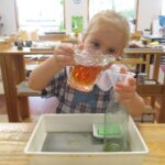 Pelicans learn about Harmony Day by using the colour Orange